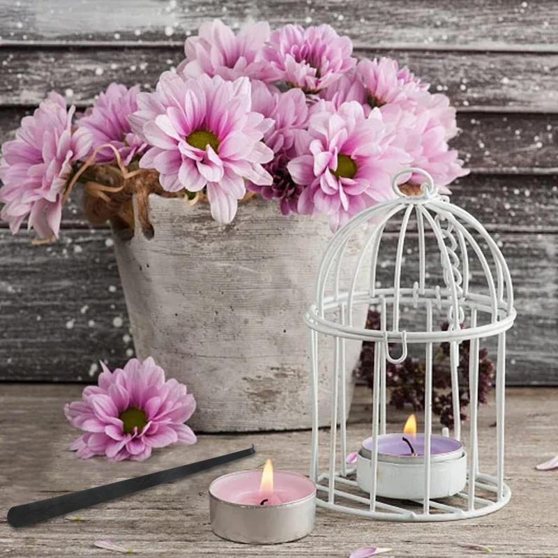ตะขอสำหรับดูดไส้เทียนสแตนเลสสี - Candle Wick บทวิจารณ์และราคา